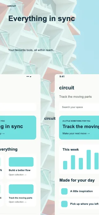 Circuit screenshot design: Cutout duo