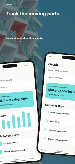 Circuit screenshot design: Oversized pair