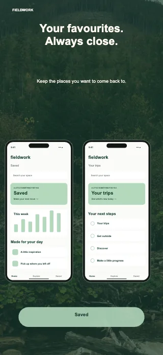 Fieldwork screenshot design: Twin pillars