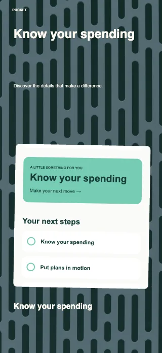 Pocket screenshot design: Wide detail